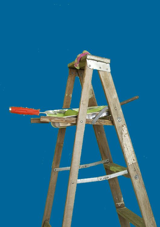 home_ladder